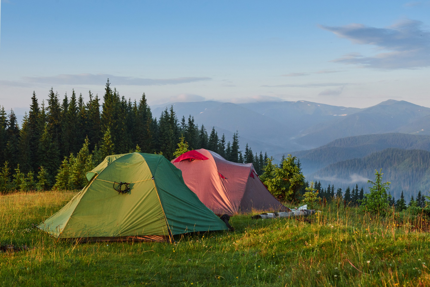 le-tende-turistiche-sono-nella-foresta-nebbiosa-verde-alle-montagne