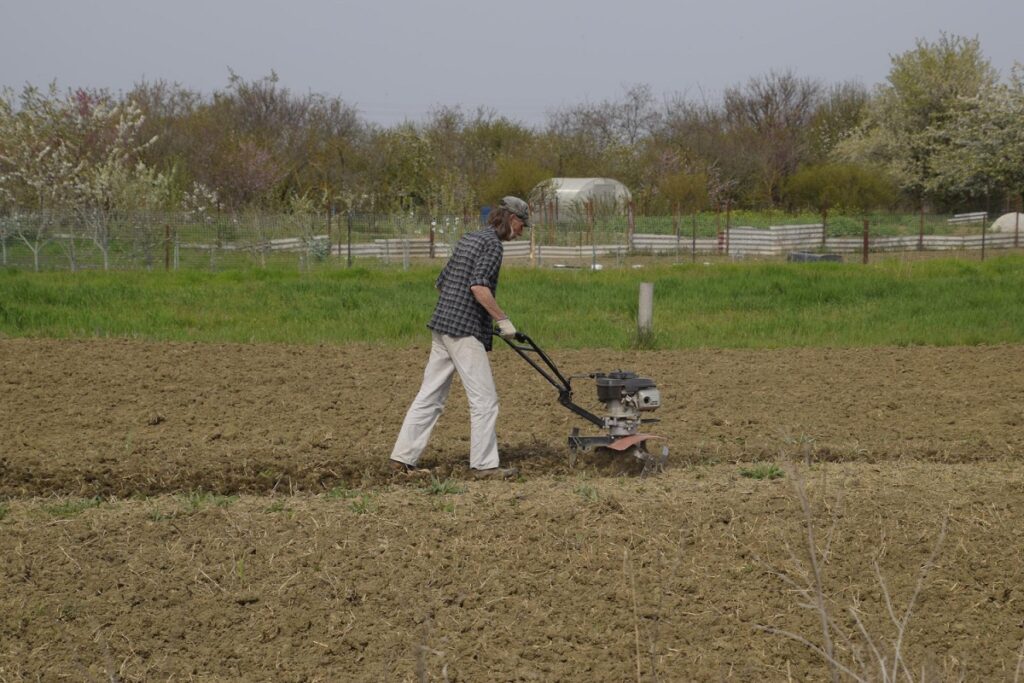 un-uomo-ara-una-motozappa-nel-giardino-coltivazione-primaverile-del-giardino (2)